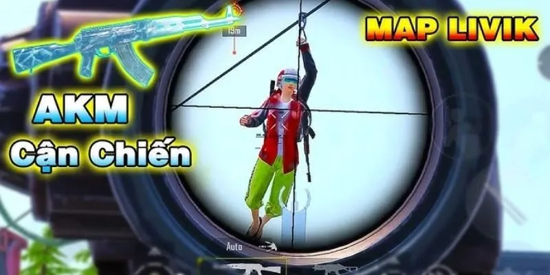 Vũ khí phù hợp map livik